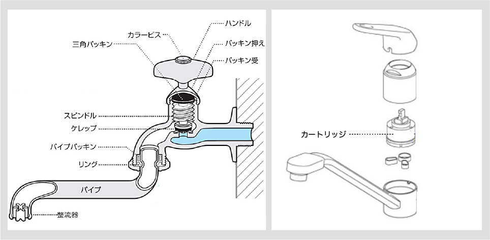 蛇口構造