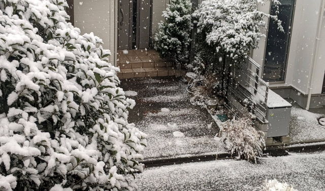 雪の降る玄関